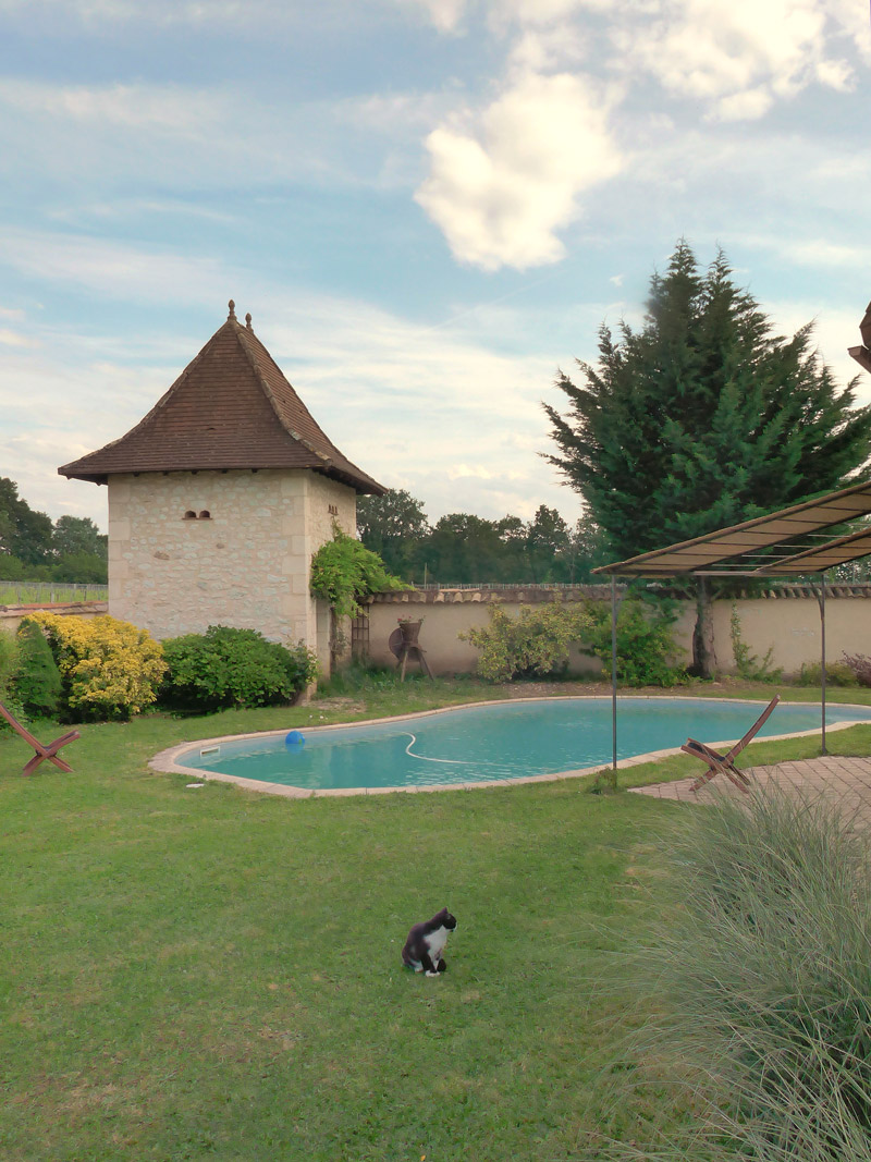 Gîte Jonc Blanc (Dordogne) : Maison en pierre, piscine